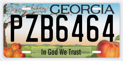 GA license plate PZB6464