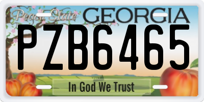 GA license plate PZB6465