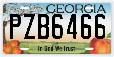 GA license plate PZB6466