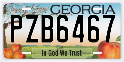 GA license plate PZB6467