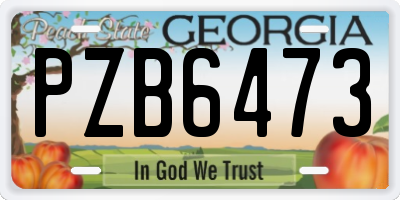 GA license plate PZB6473