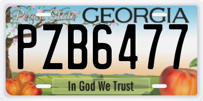 GA license plate PZB6477
