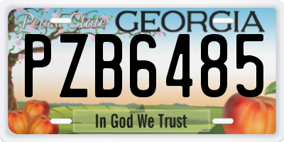GA license plate PZB6485