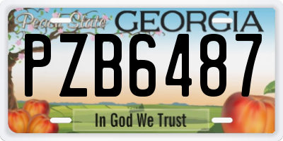 GA license plate PZB6487