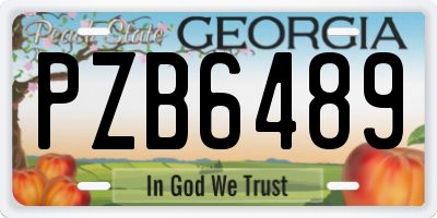 GA license plate PZB6489