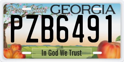 GA license plate PZB6491