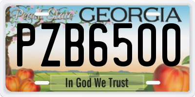 GA license plate PZB6500