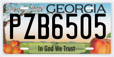 GA license plate PZB6505