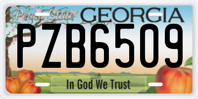 GA license plate PZB6509