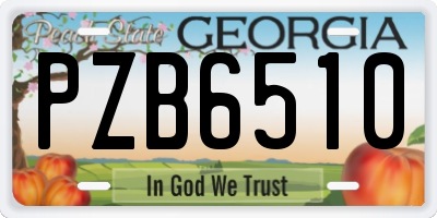 GA license plate PZB6510