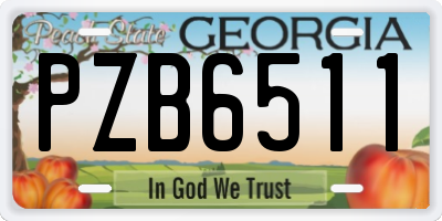 GA license plate PZB6511