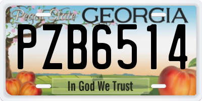GA license plate PZB6514