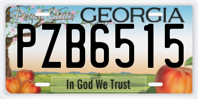 GA license plate PZB6515