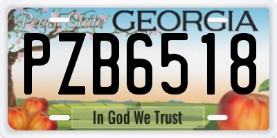 GA license plate PZB6518