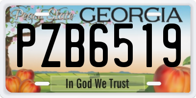 GA license plate PZB6519
