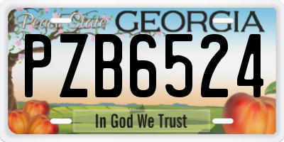 GA license plate PZB6524