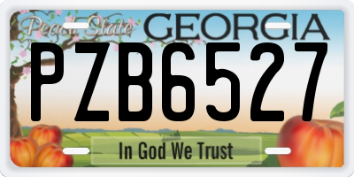 GA license plate PZB6527