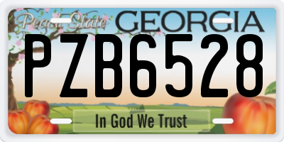 GA license plate PZB6528