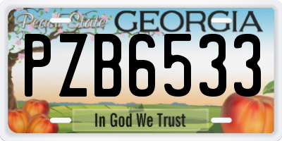 GA license plate PZB6533