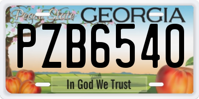 GA license plate PZB6540