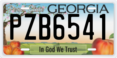 GA license plate PZB6541