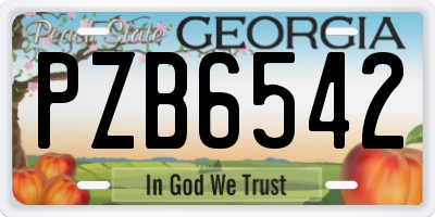 GA license plate PZB6542