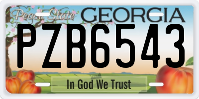 GA license plate PZB6543