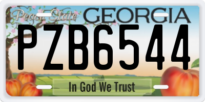 GA license plate PZB6544