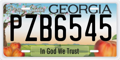 GA license plate PZB6545