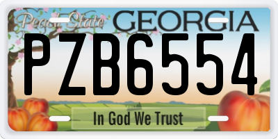 GA license plate PZB6554