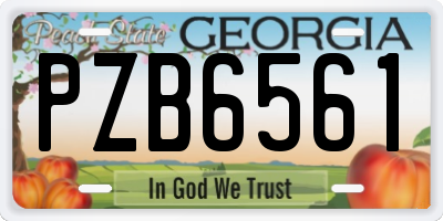 GA license plate PZB6561