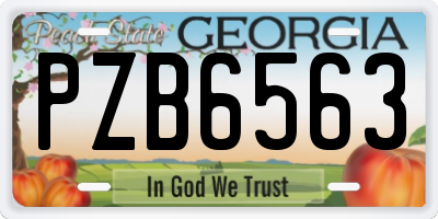 GA license plate PZB6563