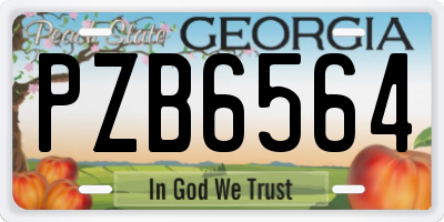 GA license plate PZB6564
