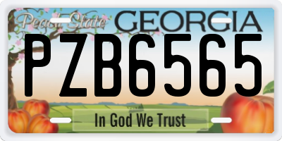 GA license plate PZB6565