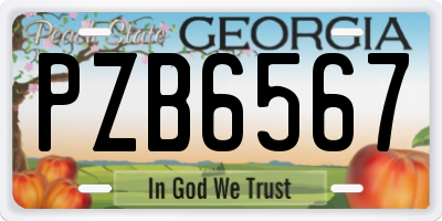 GA license plate PZB6567
