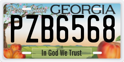 GA license plate PZB6568