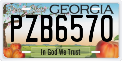 GA license plate PZB6570