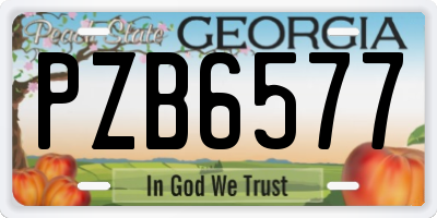 GA license plate PZB6577