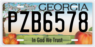 GA license plate PZB6578