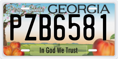 GA license plate PZB6581