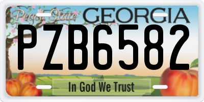 GA license plate PZB6582