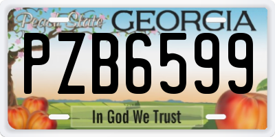 GA license plate PZB6599