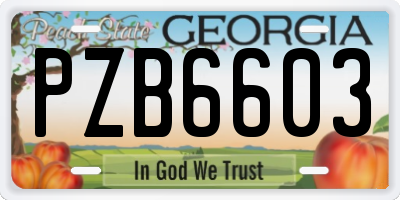 GA license plate PZB6603