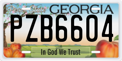 GA license plate PZB6604