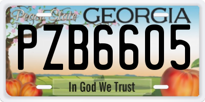 GA license plate PZB6605