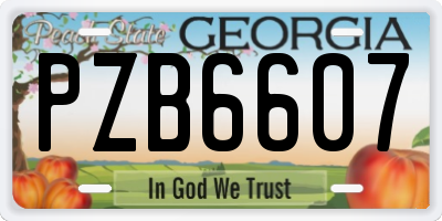 GA license plate PZB6607