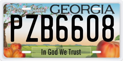 GA license plate PZB6608