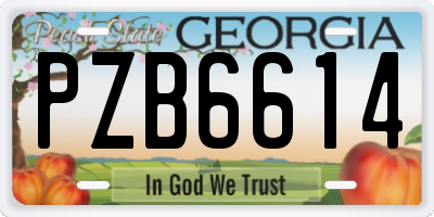 GA license plate PZB6614