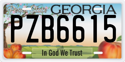 GA license plate PZB6615