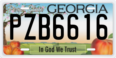 GA license plate PZB6616